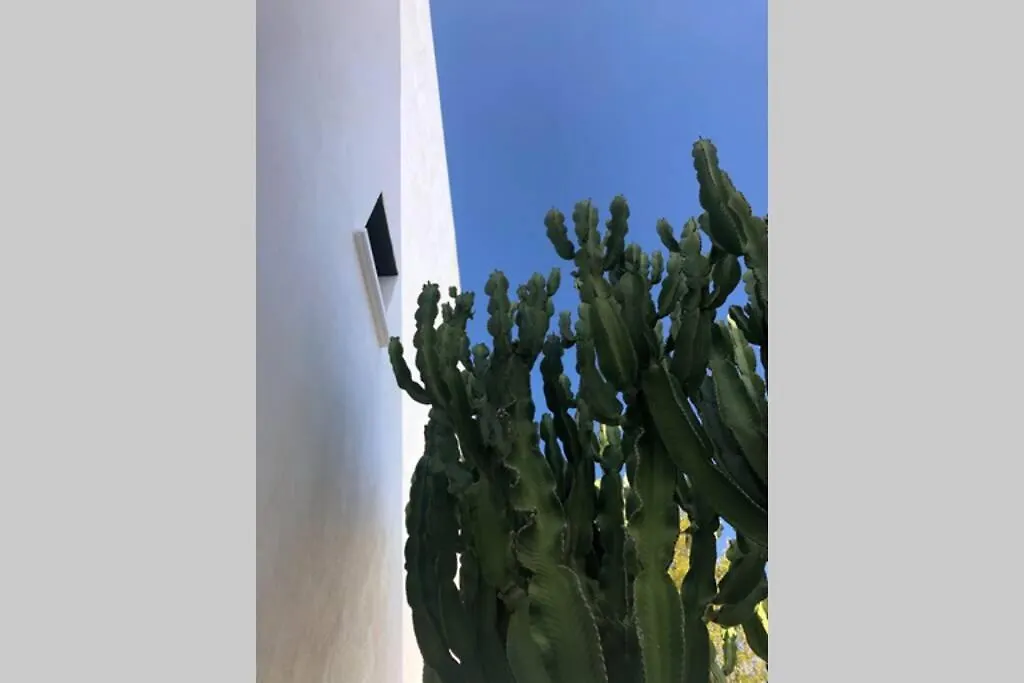 Casa Granado En Cabo De Gata Villa Rodalquilar